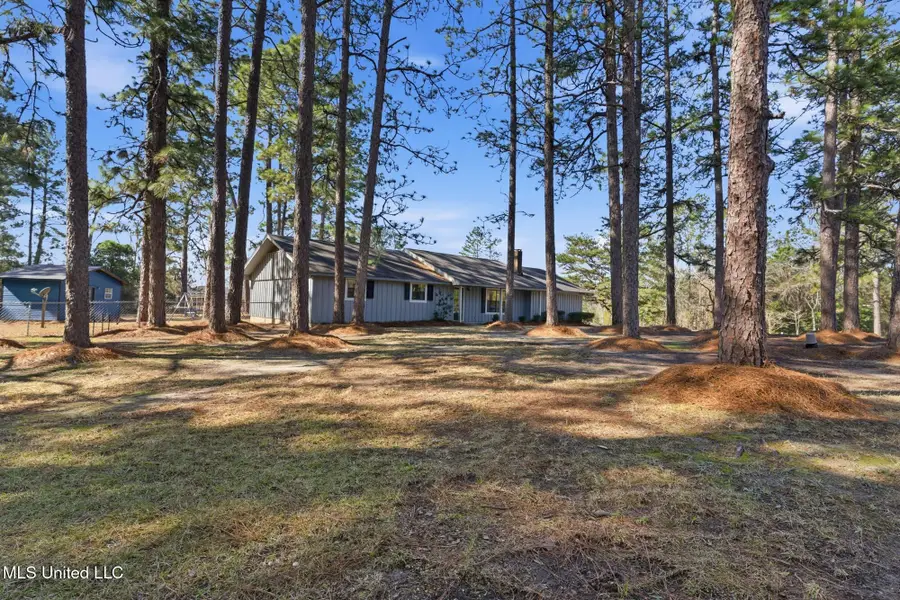 224 Hensarling Road, Petal, MS 39465 - #3