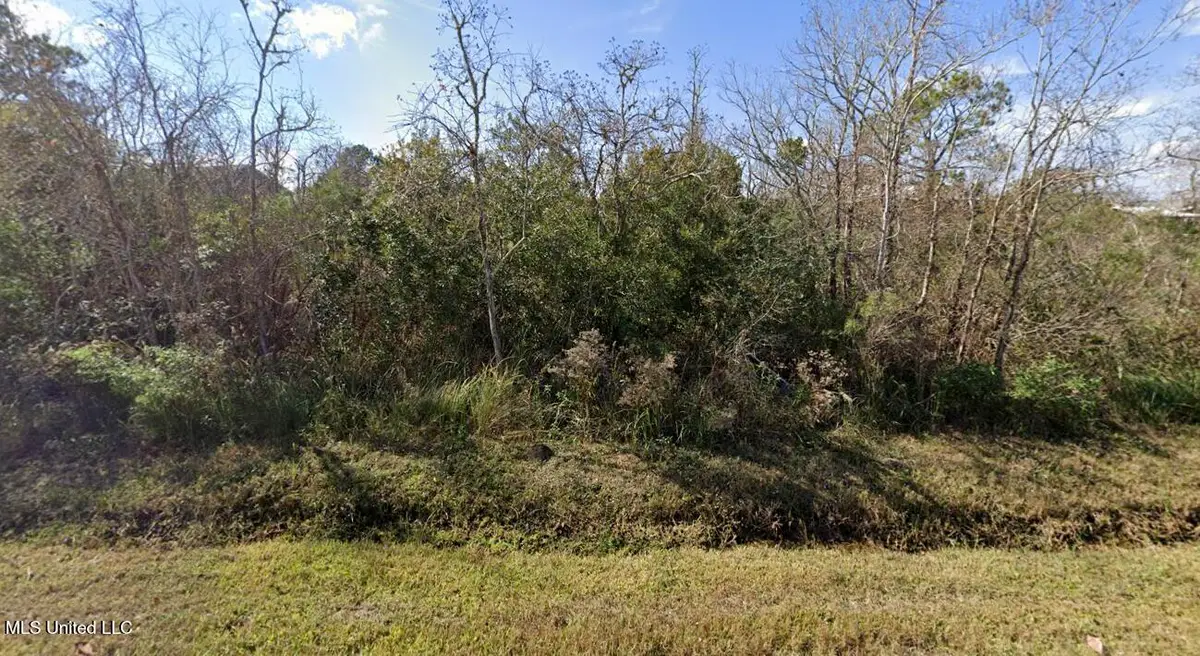 New York Street, Bay Saint Louis, MS 39520 - #1