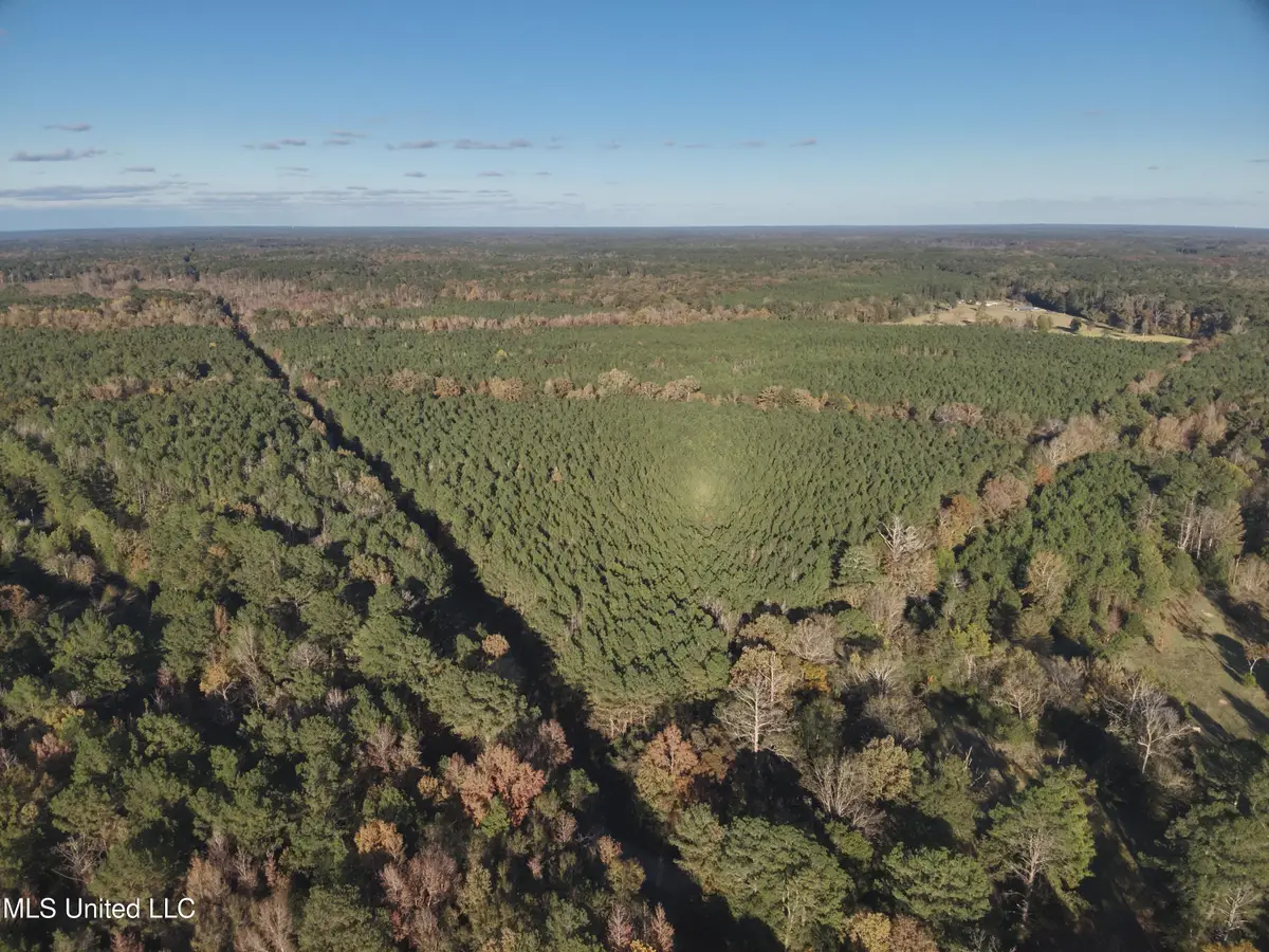 Lot 4 Whiddon Road, Canton, MS 39046 - #1