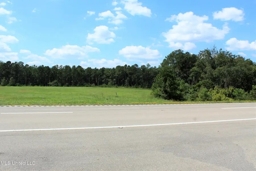 20.5 Acres Highway 98, Lucedale, MS 39452 - #2