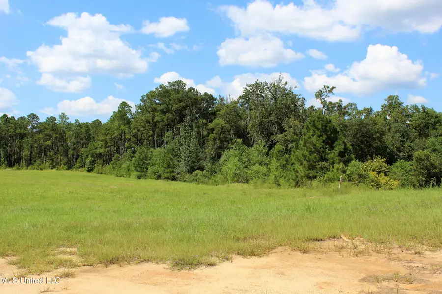 20.5 Acres Highway 98, Lucedale, MS 39452 - #3