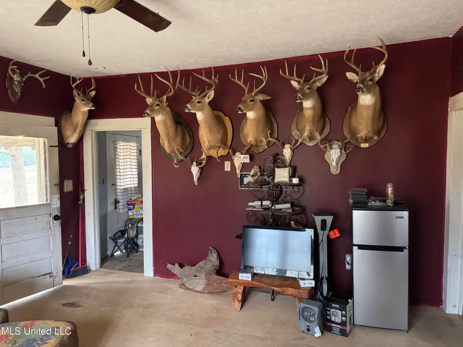 6573 Ms-567, Liberty, MS 39645 - #3