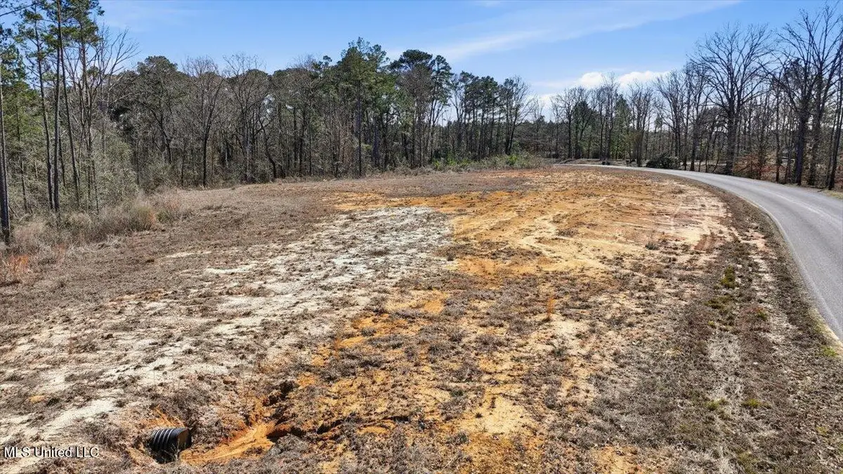 398 Wire Road, Pelahatchie, MS 39145 - #1