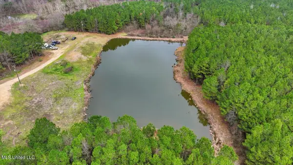 4603 Mississippi 28, Mize, MS 39116