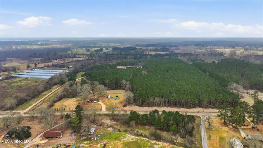 4603 Mississippi 28, Mize, MS 39116 - #3