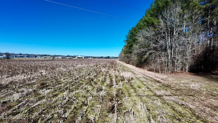 00 E Main Street, Carthage, MS 39051 - #3