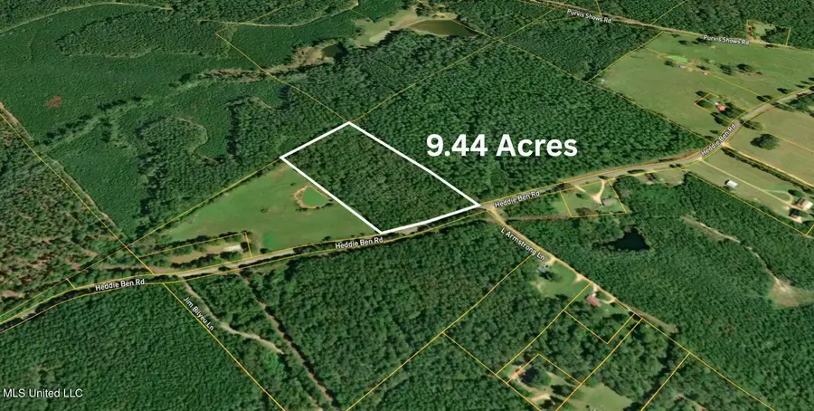 Heddie Ben Road, Newhebron, MS 39140 - #2