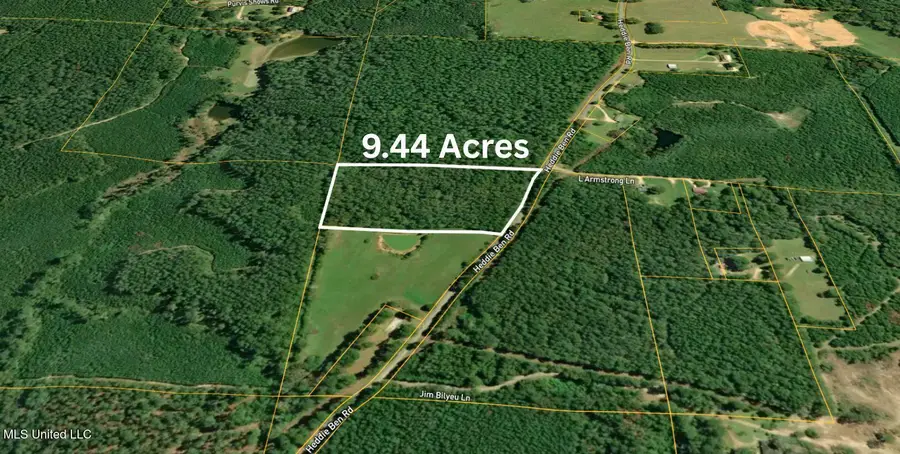 Heddie Ben Road, Newhebron, MS 39140 - #3