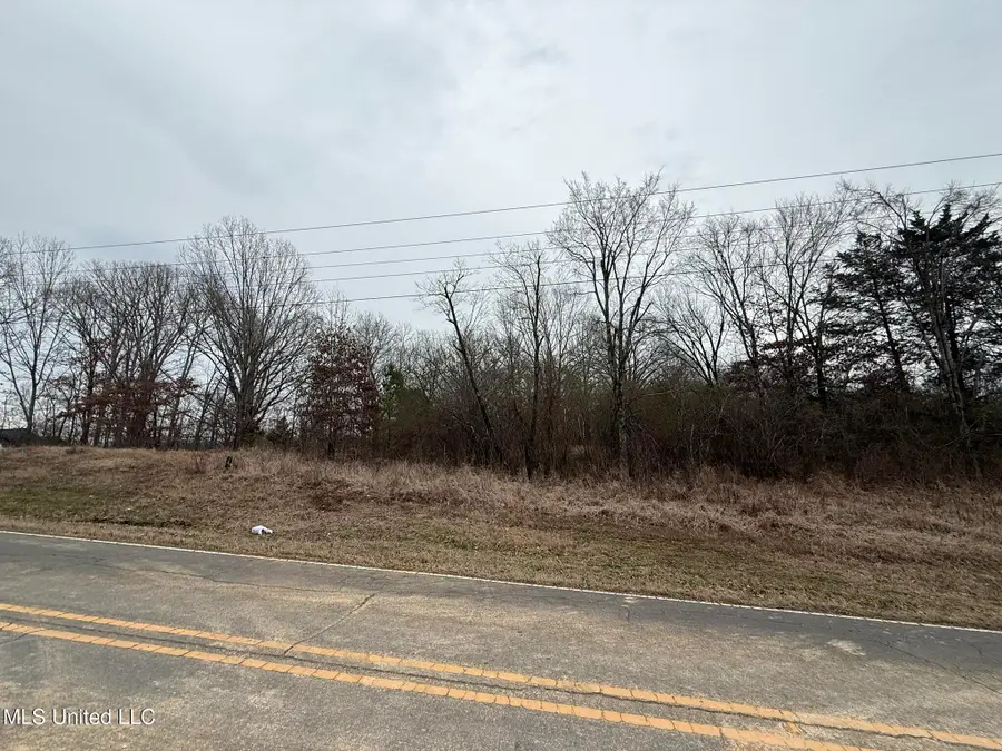15 Polk Lane, Olive Branch, MS 38654 - #3
