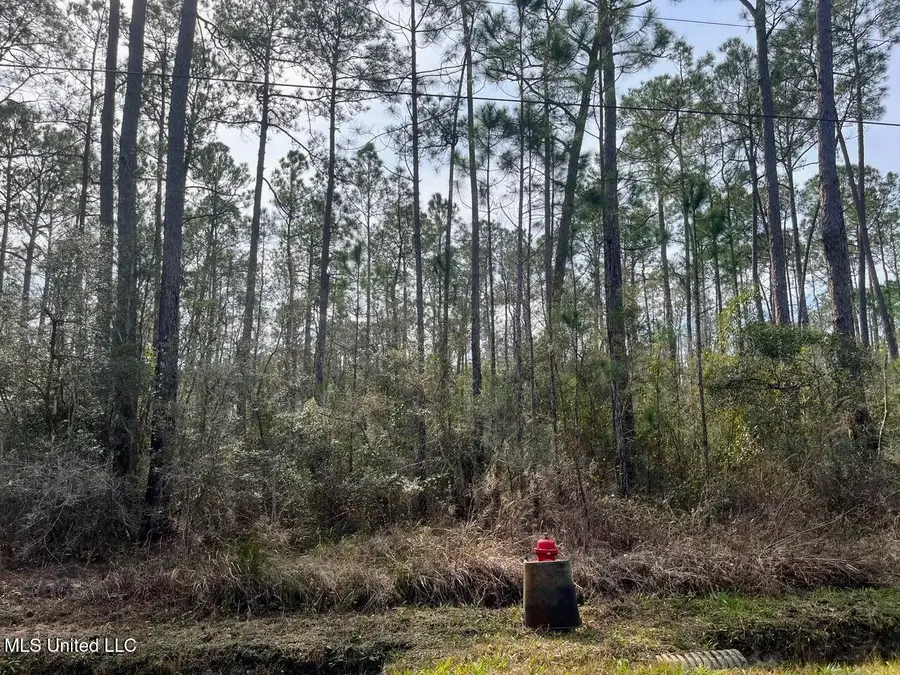 5039 Fig Drive, Waveland, MS 39576 - #2