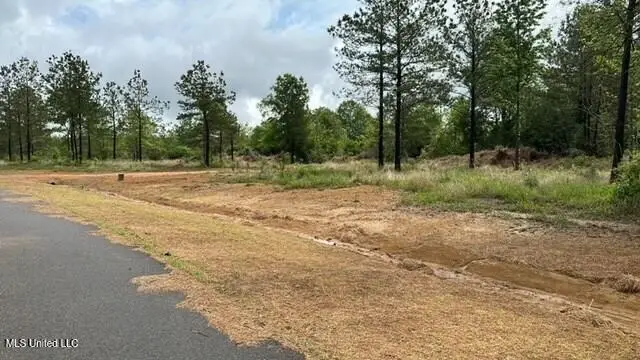 Nhn Bent Creek, Picayune, MS 39466 - #3