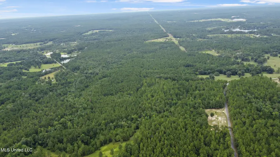 Silver Run-progress Road, Perkinston, MS 39573 - #3