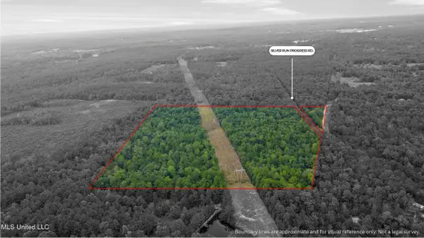 Silver Run-progress Rd Road, Perkinston, MS 39573