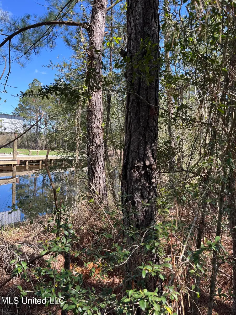 00000 Hwy 603, Bay Saint Louis, MS 39520 - #2