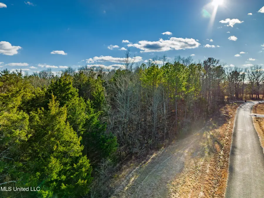 Sawyer Road, Nettleton, MS 38858 - #3