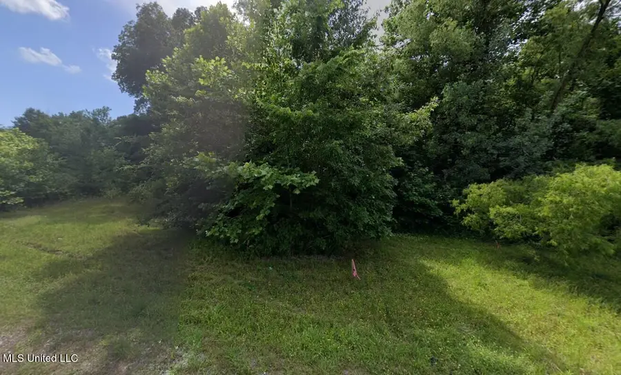 4419 W Dickens Place Drive, Southaven, MS 38671 - #2