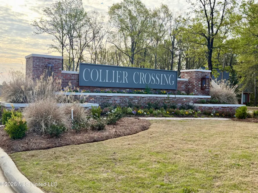 705 Celadon Street, Brandon, MS 39042 - #2