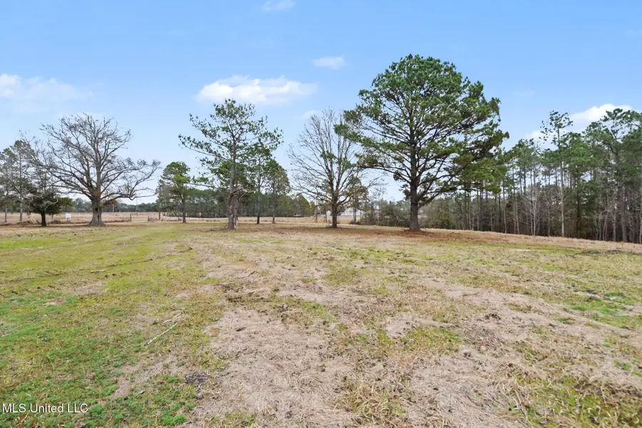 20+/-Ac Summerour Road, Lucedale, MS 39452 - #2