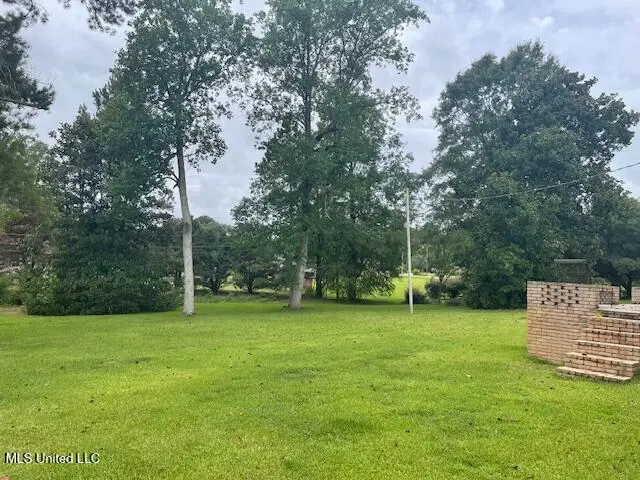 808 Oak Street, Tylertown, MS 39667 - #3