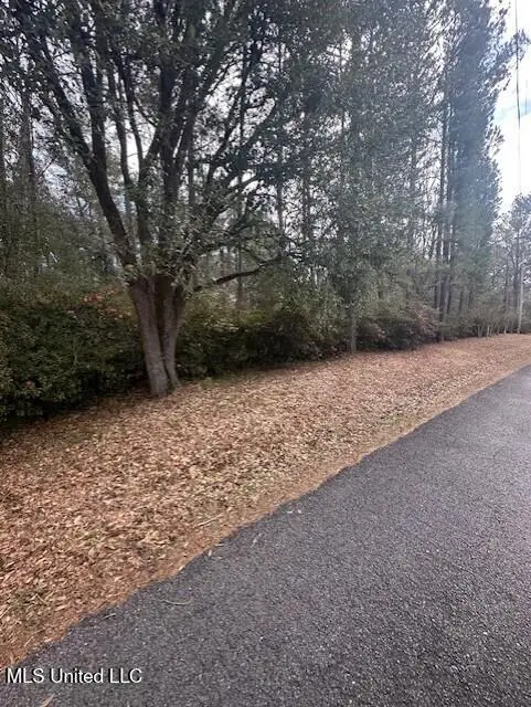 Ms 53 Lot 6, Gulfport, MS 39503 - #1