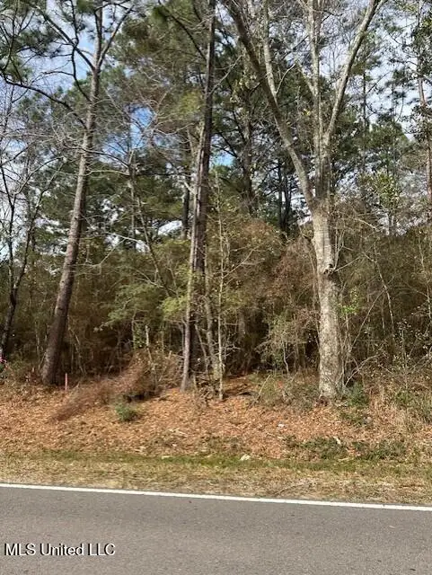 Ms 53 Lot 14, Gulfport, MS 39503 - #1