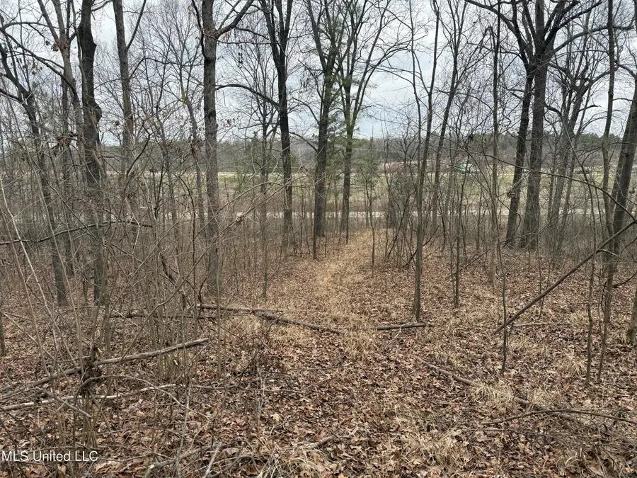 62 E Green T Lake Road, Hernando, MS 38632 - #3