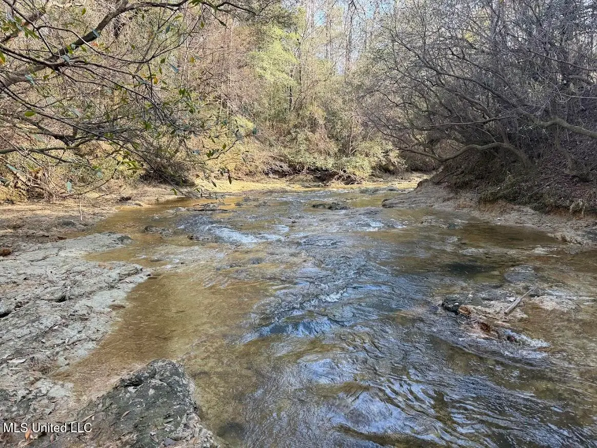 Pete Hickman Road, Saucier, MS 39574 - #1