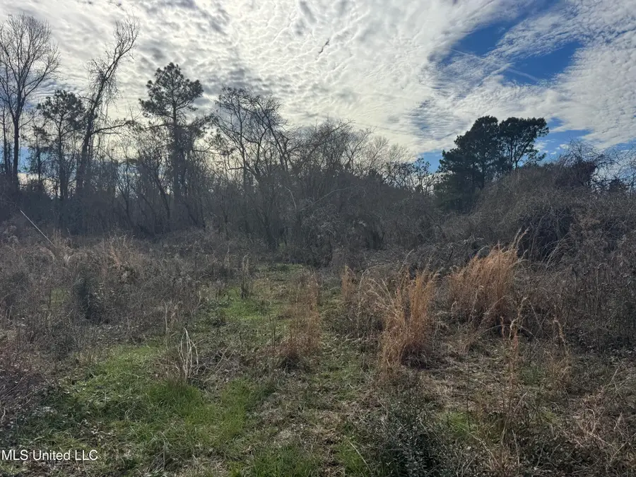 0 Hawpond Church Road, Magee, MS 39111 - #3