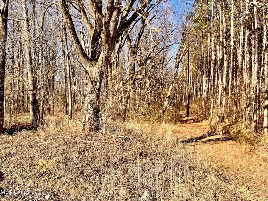0 Moore Road, Red Banks, MS 38661 - #2