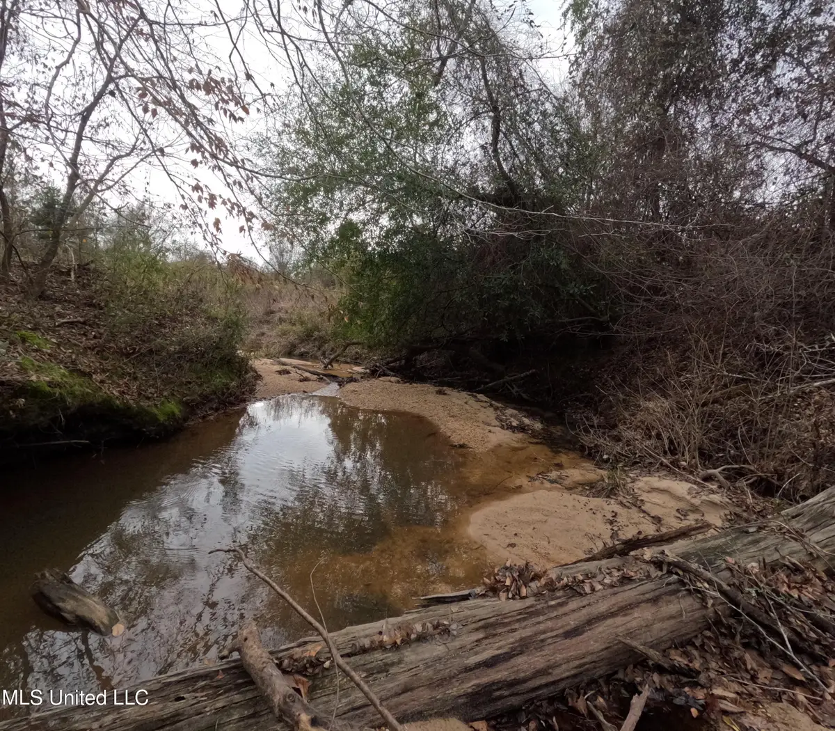 Christian Hts Road, Braxton, MS 39044 - #1