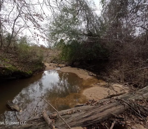 Christian Hts Road, Braxton, MS 39044