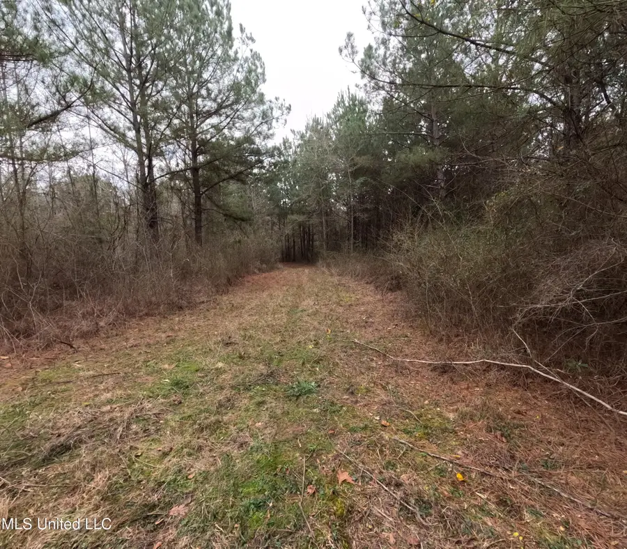 Christian Hts Road, Braxton, MS 39044 - #3