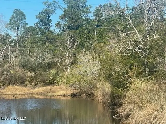 Everest Street, Bay Saint Louis, MS 39520 - #2