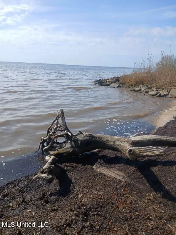 Lot 1 Swetman Beach Drive, Gautier, MS 39553 - #2