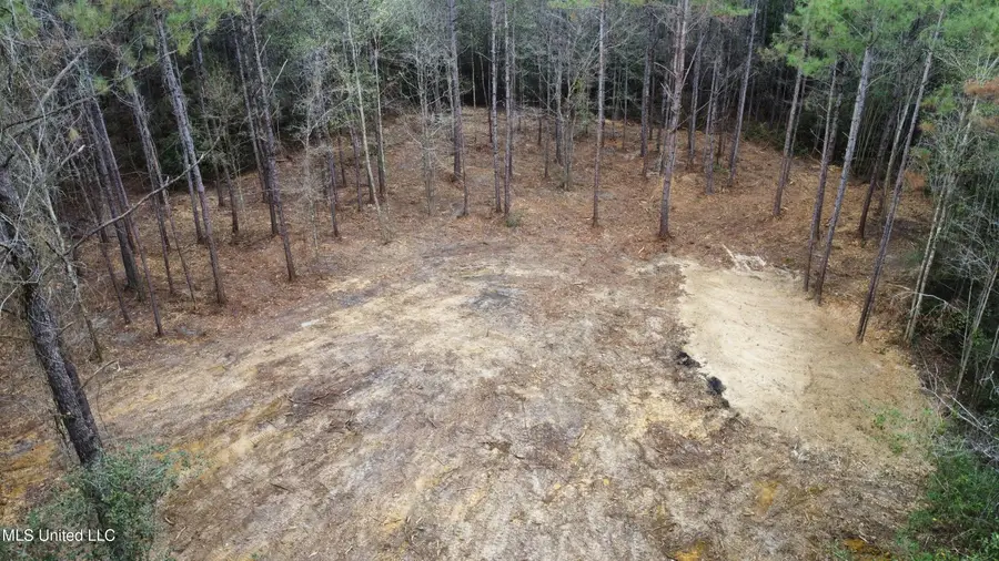 Parcel 7 Hoda Road, Kiln, MS 39556 - #3