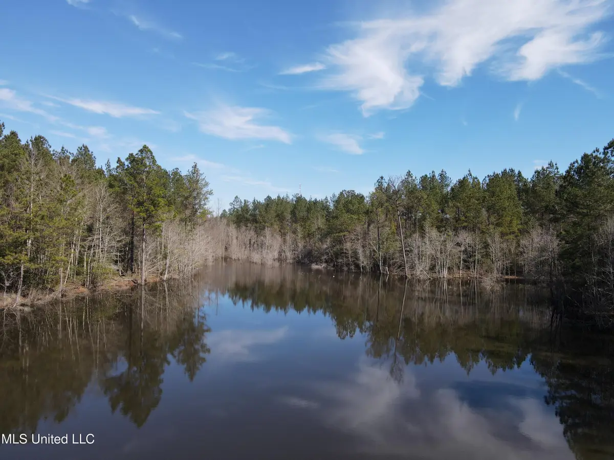 Mississippi 42, State Line, MS 39362 - #1