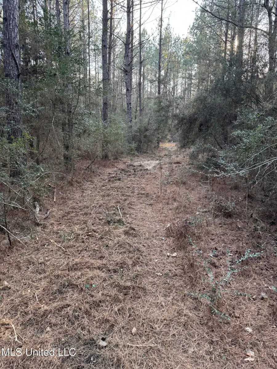 Mississippi 42, State Line, MS 39362 - #3