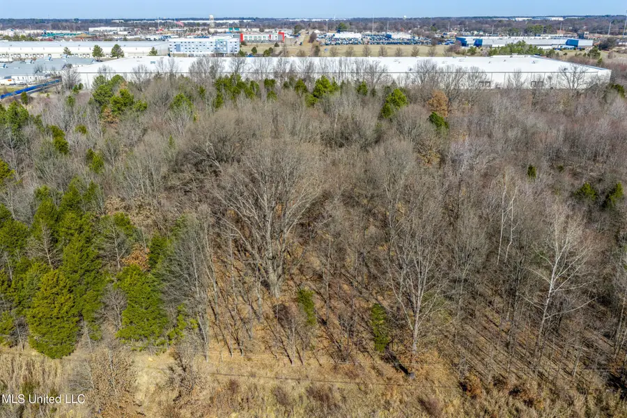 Elmore Road, Southaven, MS 38671 - #3