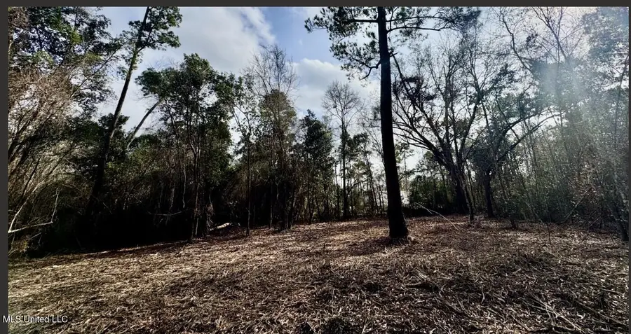 0 Elaine Street, Waveland, MS 39576 - #2