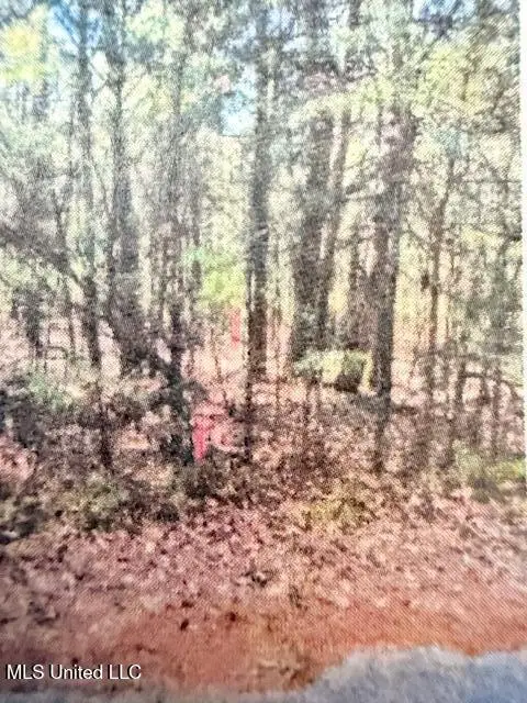 0 Hardy Road, Madison, MS 39110 - #1