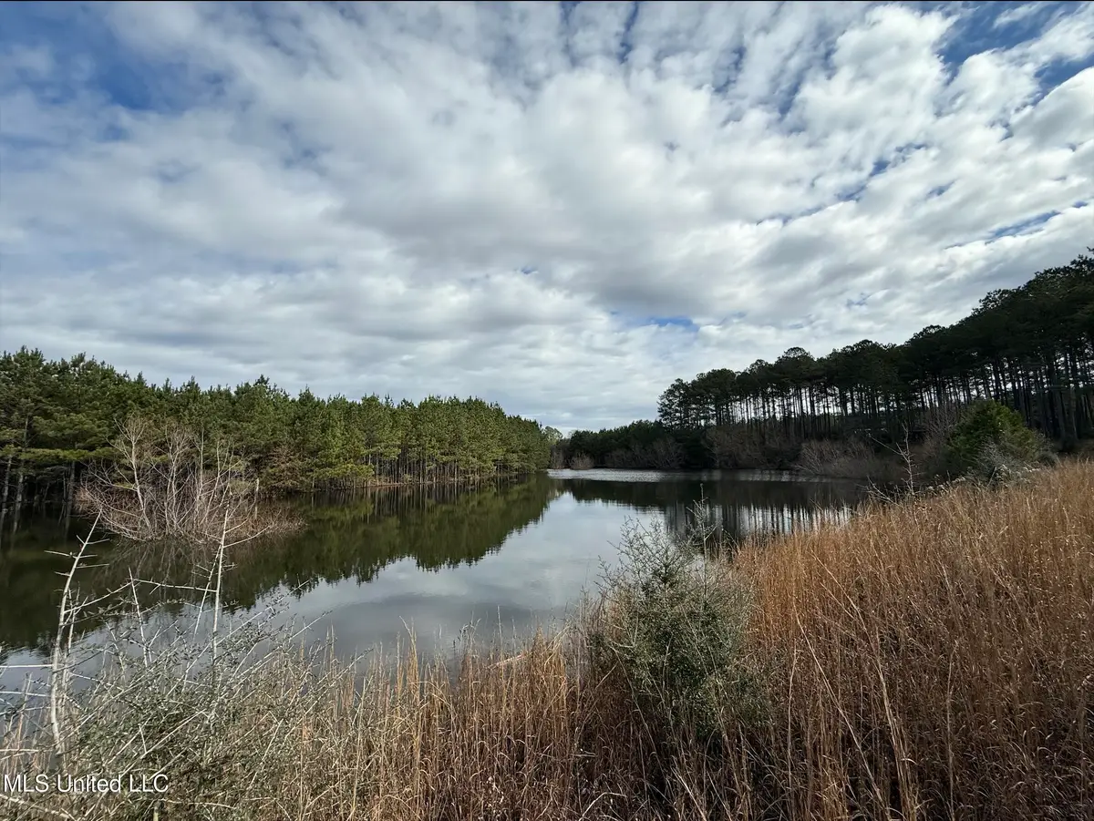 Dyess Road, Carson, MS 39427 - #1