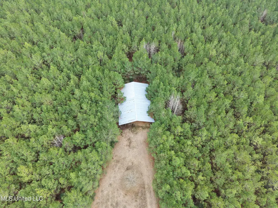 Dyess Road, Carson, MS 39427 - #3