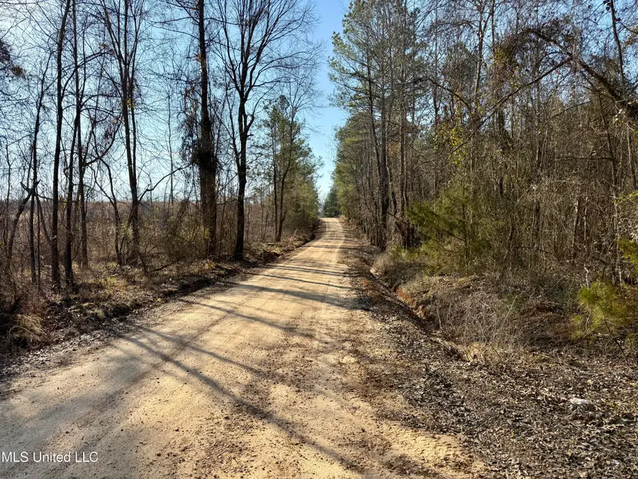 Attala Rd 4136, Sallis, MS 39160 - #2