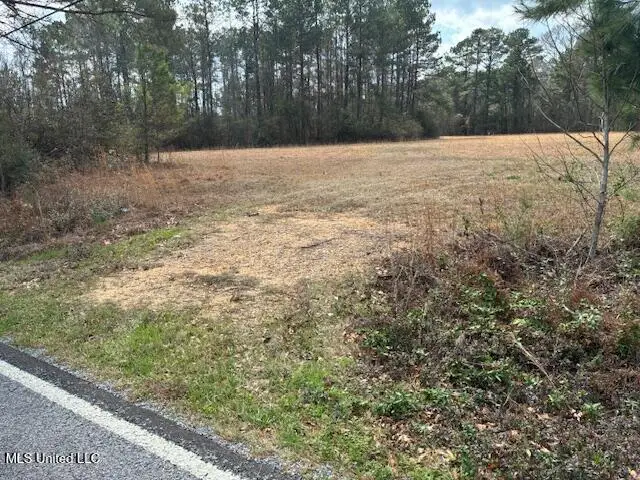 00 Centrville Rd. Road, Magnolia, MS 39652 - #3