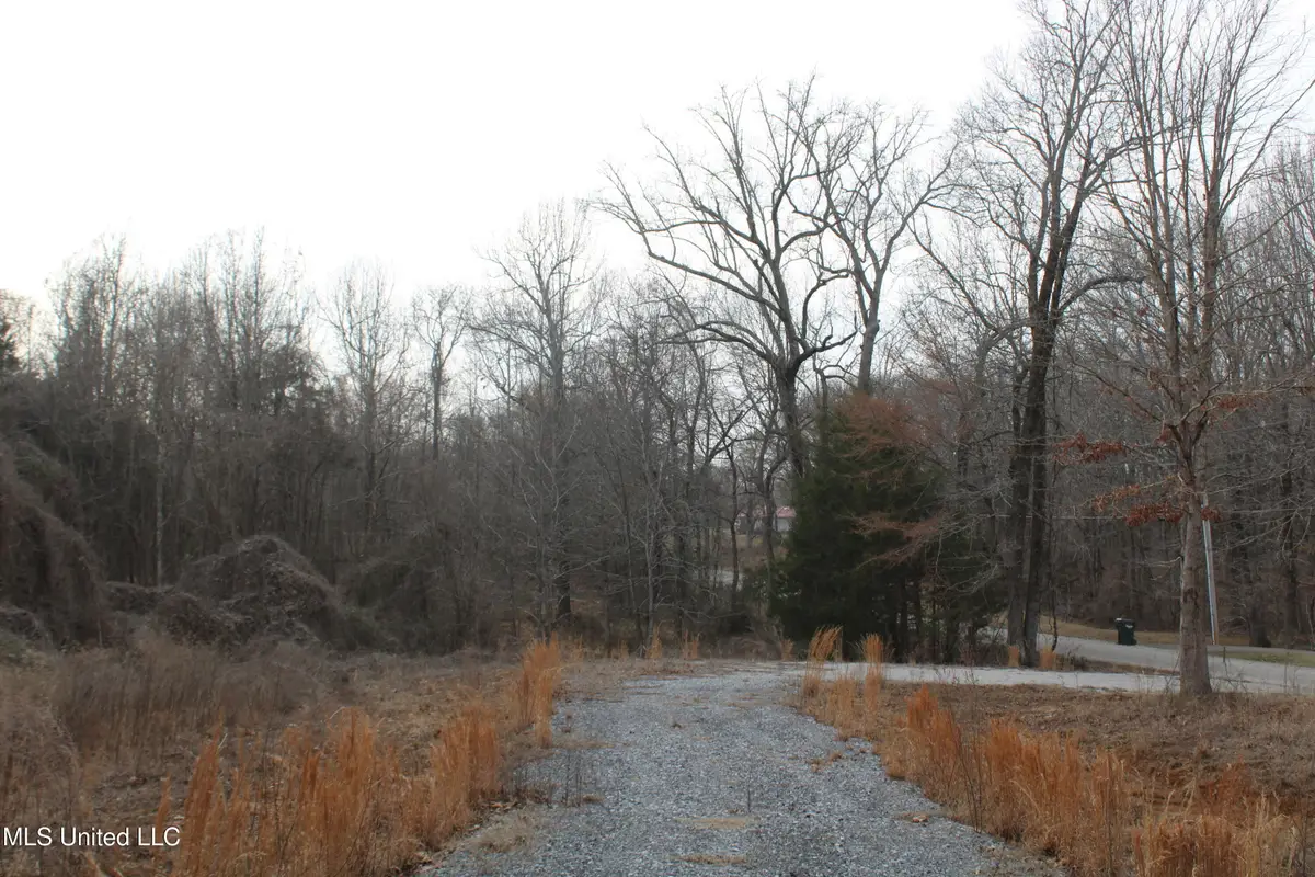 797 Gardner Road, Holly Springs, MS 38635 - #1