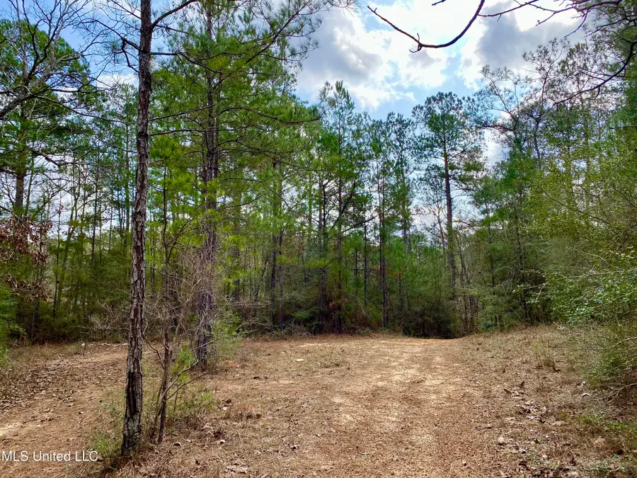 167 Bear Drive, Carriere, MS 39426 - #3