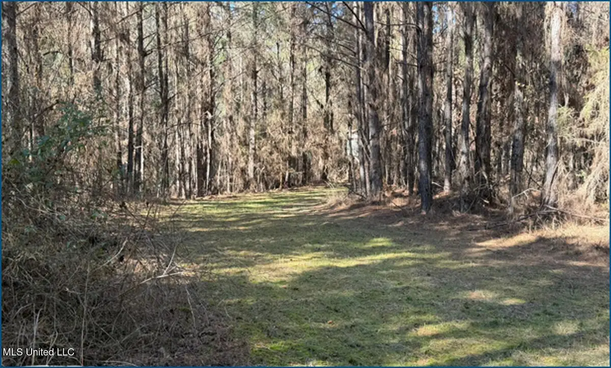 County Road 2257, Ethel, MS 39067 - #1