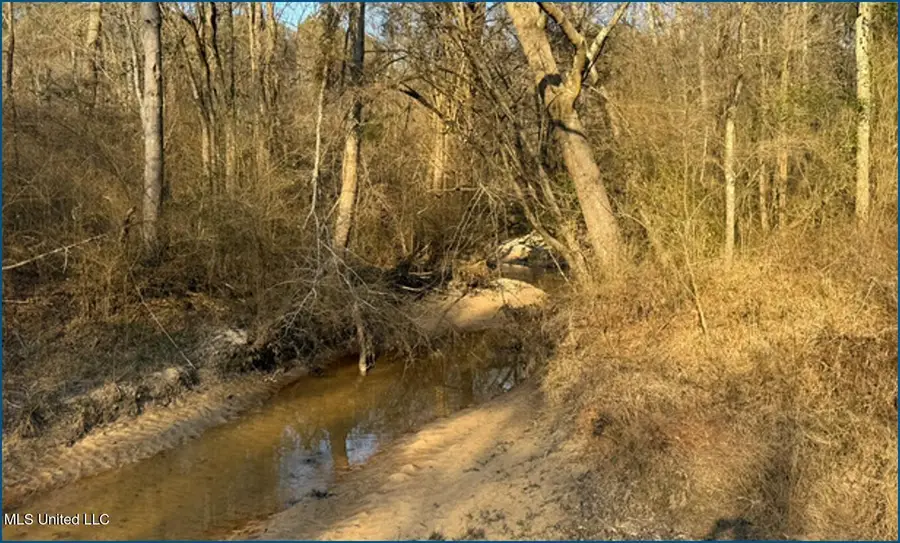 Will Brown, Conehatta, MS 39057 - #2