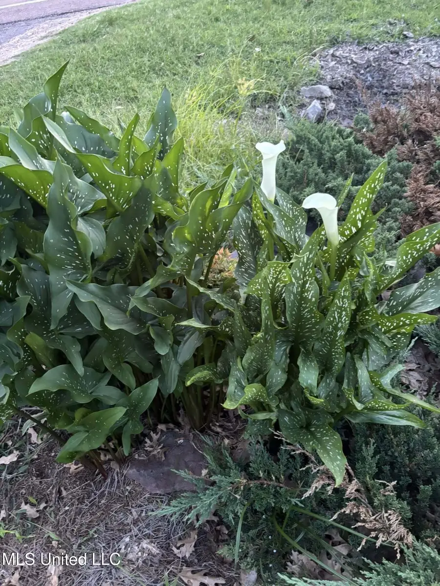 1200 Highway 16, Yazoo City, MS 39194 - #3