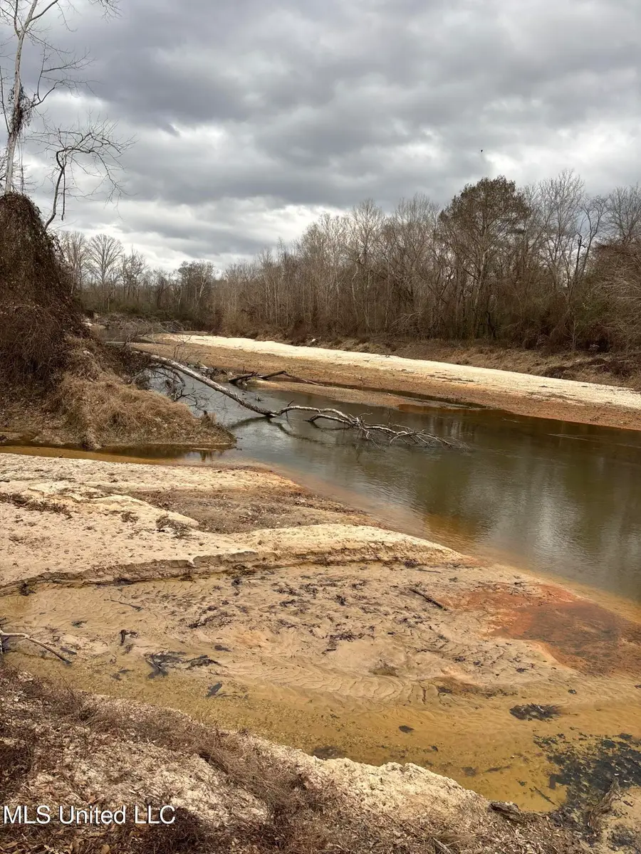 Lee Bass Road, Pinola, MS 39149 - #2